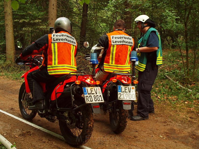 Waldbrand Bergisch Gladbach Bensberg P150.JPG